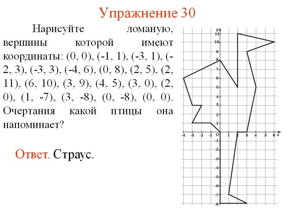 Сложные координатные рисунки фото