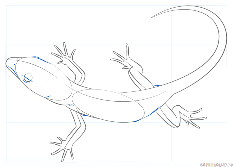 Ящерица рисунки легкие фото