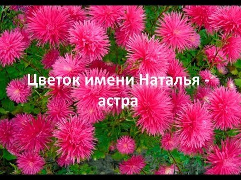 Картинки наталья  с именем и цветами фото