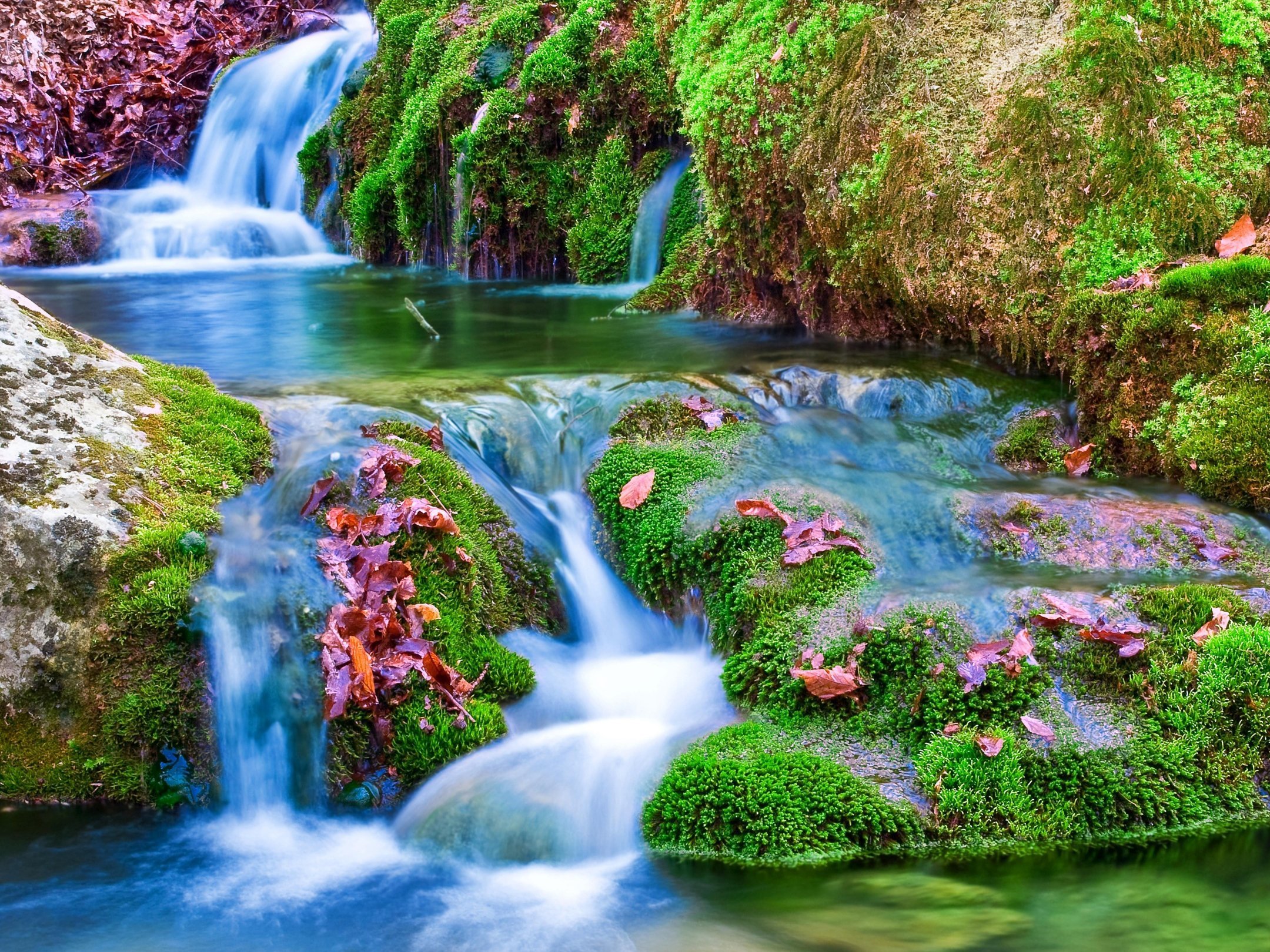 Картинки  водопад цветы фото