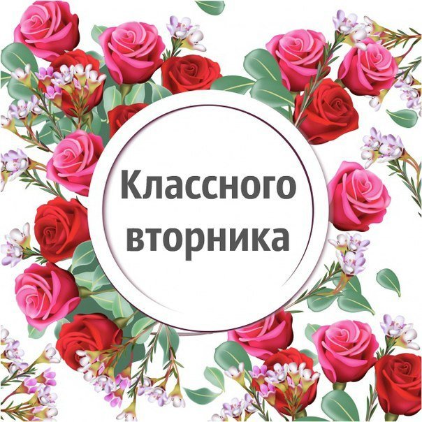 Картинки вторник  цветы фото