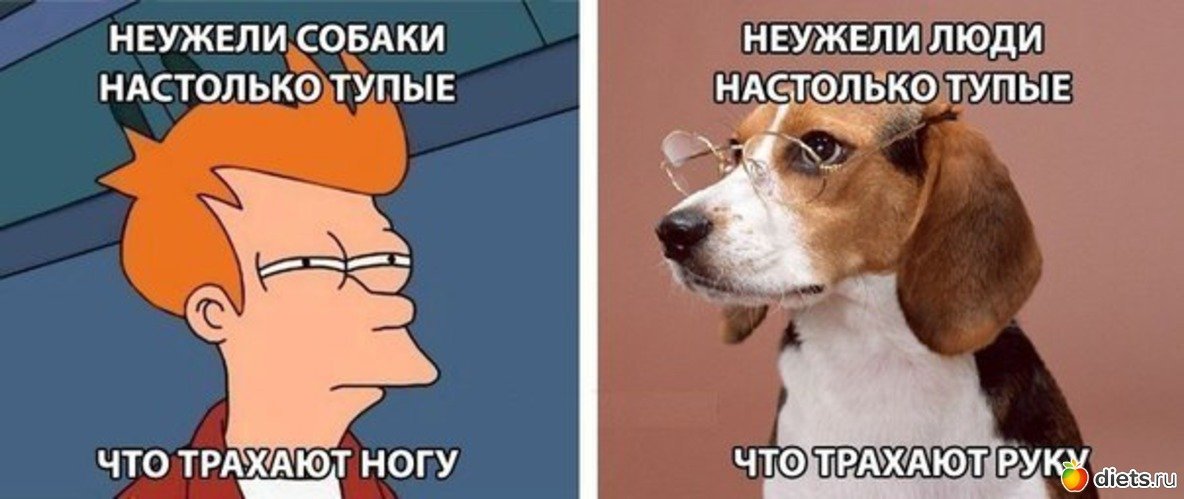 Смешные тупые рисунки фото